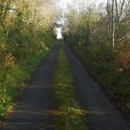 Bed & Breakfast Five Ferns House Westport