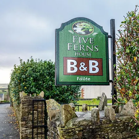 Five Ferns House