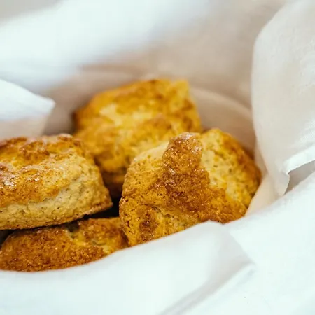 Five Ferns House Westport