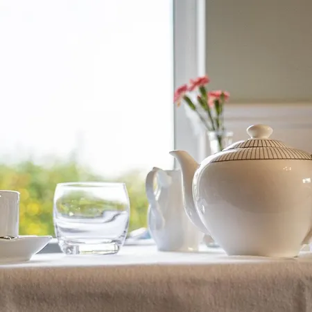 Five Ferns House Bed & Breakfast