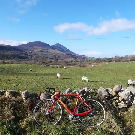 Bed & Breakfast Five Ferns House