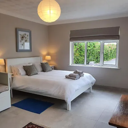 Five Ferns House