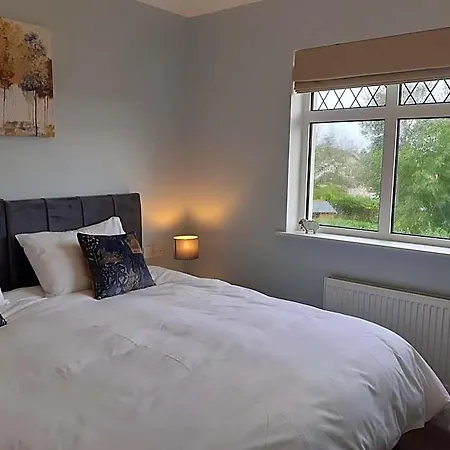 Five Ferns House Bed and breakfast