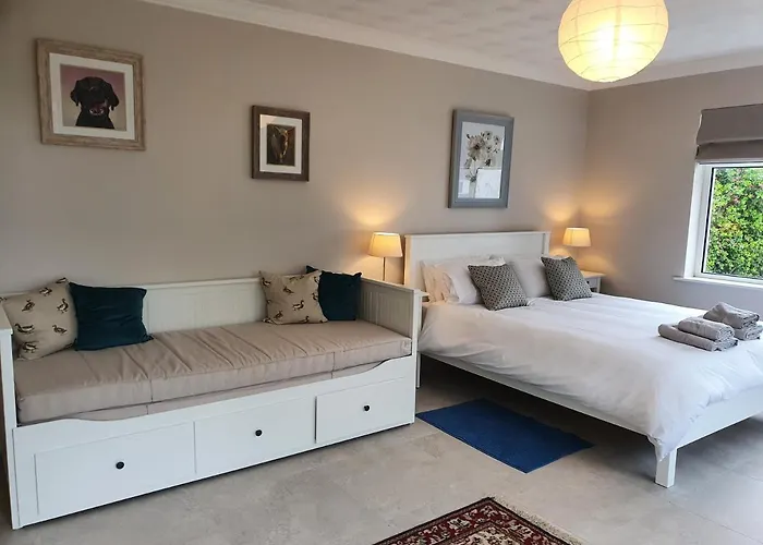فندق مبيت وإفطار Five Ferns House ويستبورت
