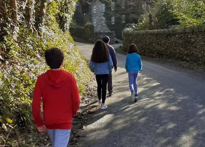 Five Ferns House 4* 韦斯特波特