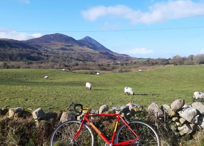 住宿加早餐酒店 Five Ferns House